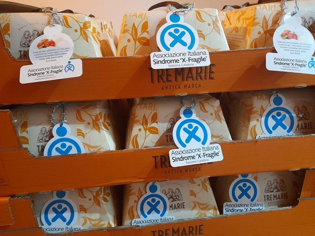 Campagna panettoni Natale 2024