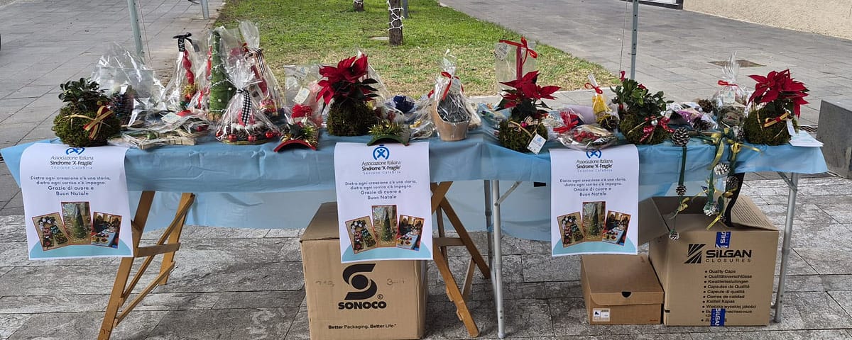 Mercatino di Natale - Jacurso